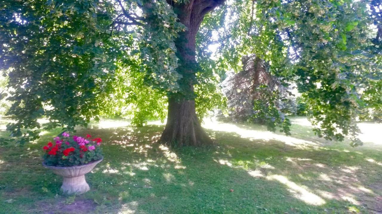Villa Toulousaine Grisolles  Екстер'єр фото