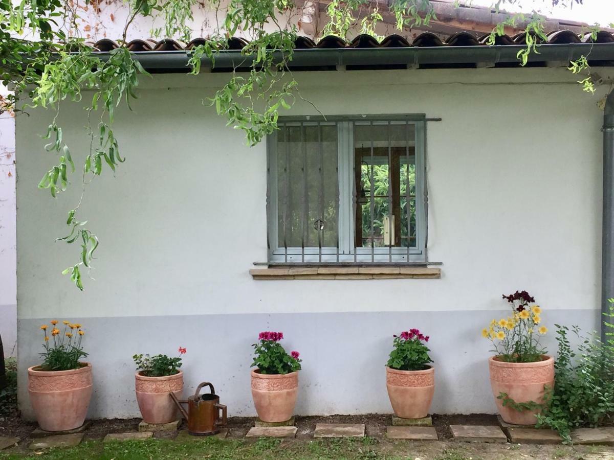 Villa Toulousaine Grisolles  Екстер'єр фото